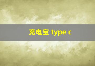 充电宝 type c